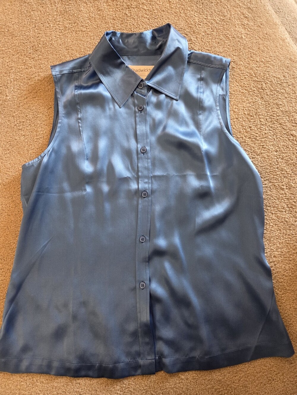 Chadwicks Sleeveless Button Down Silk Blouse Womans Size 14 Classic
